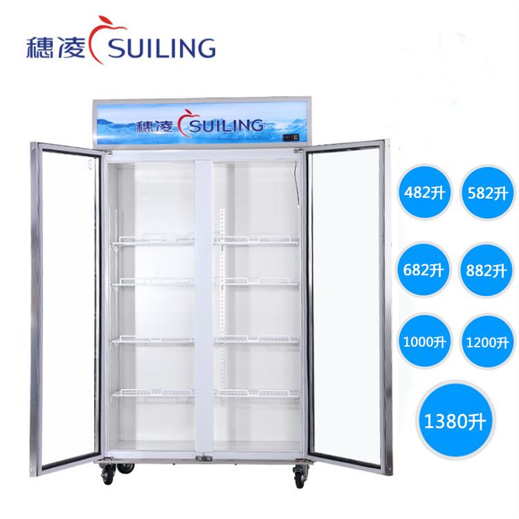 穗凌商用冷柜立式冷藏展示柜双门冰柜饮料保鲜柜单温柜