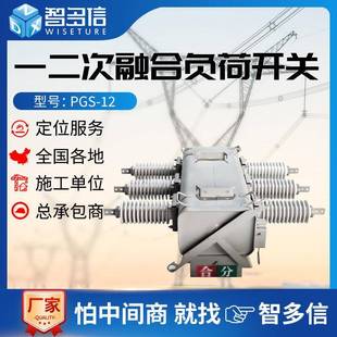 12一二次融合柱上负荷开关户外10kv高压六氟化硫真空开关厂家 PGS