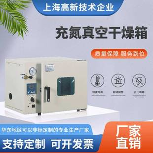 6210LC充氮真空干燥箱充氮真空烘箱 厂家供应非标可定自制VO