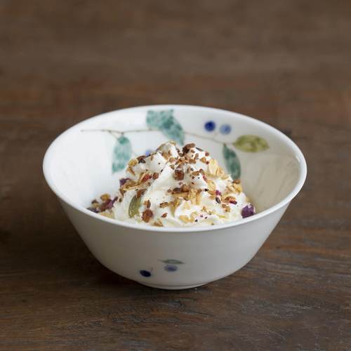 曼叙景德镇釉下彩陶瓷酸奶碗家用2024新款手绘蓝果特别好看的饭碗