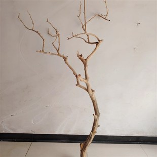 吊灯干枝分枝干树枝装饰树干枯枝室内天板挂灯插挂件舞台
