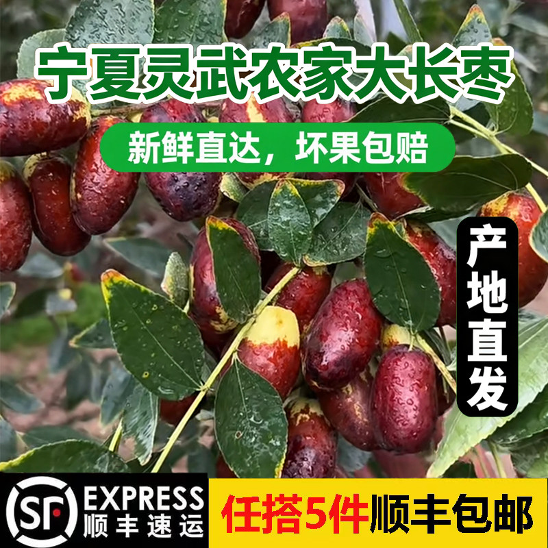 【果园现摘】宁夏脆甜灵武农家长枣新鲜当季鲜枣红长枣脆枣水果