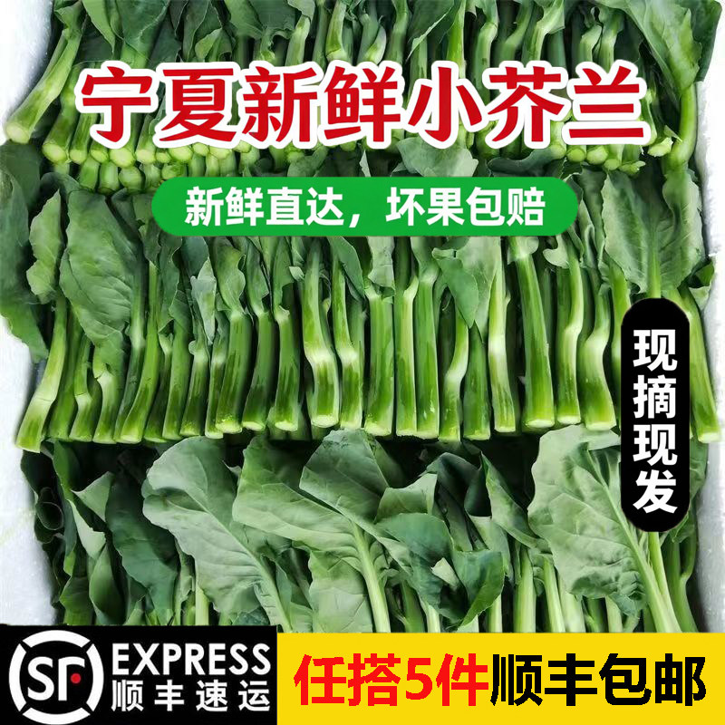 宁夏新鲜芥兰菜小芥兰芥蓝菜