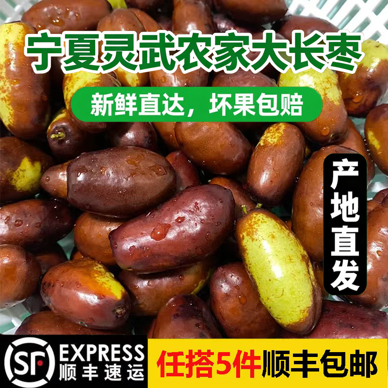 宁夏灵武农家大长枣脆甜新鲜当季