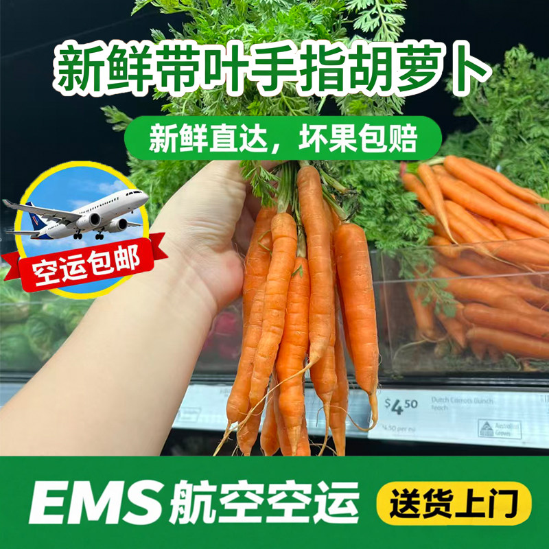 新鲜带叶手指胡萝卜带缨子小个