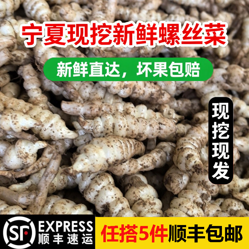 宁夏现挖新鲜螺丝菜地牯牛地溜子