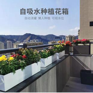 长花盆长条形阳台室内家用窗台窄长方形花槽加厚耐用懒人自动吸水