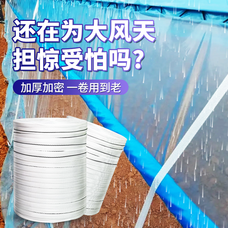 大棚专用压膜绳固定器地锚塑料紧绳器温室配件大全压膜线压膜绑带
