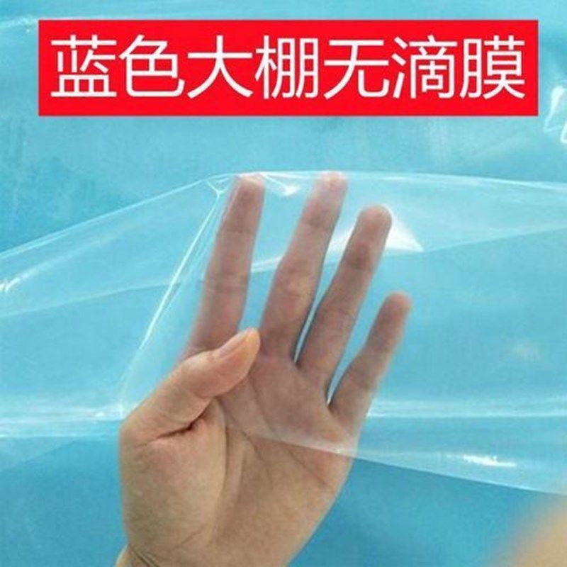 尺寸自定8S 10S大棚膜加厚无滴膜抗老化进口透光蔬菜农用薄膜