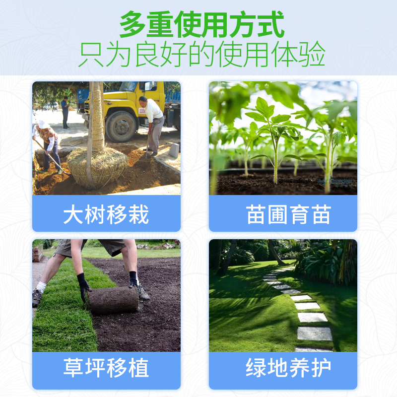 树木活性生根剂果树移栽扦插发根强力生根液植物通用型生根壮苗剂