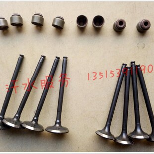 福田路麒福民老年代步三四轮车缸发动气门油封