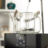 快速电陶炉煮茶玻璃蒸茶壶煮茶器全自动上水耐温老茶煮茶器