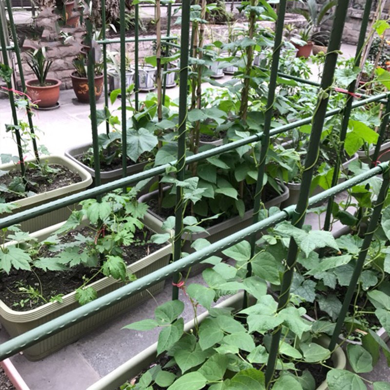 包塑爬藤杆植物支架园艺钢管黄瓜番茄爬藤支撑杆支柱支撑生长用