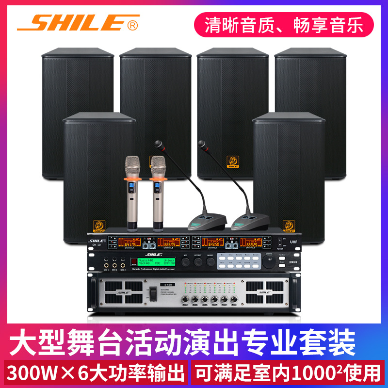 狮乐舞台音响设备 大型会议室音箱功放S62B/BX112效果器话筒套装