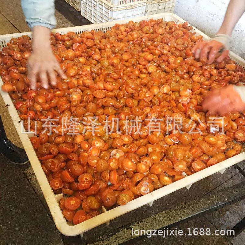 果脯快速吃糖设备浸糖蜜饯生产工艺大型全自动糖渍浸糖锅