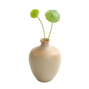 饰品 水培小花瓶陶瓷简约花器创意迷你花瓶摆件客厅插花水培家居装