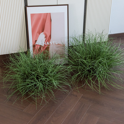 仿真蒲草球绿植造景酒店橱窗装饰摆件假草堆景观芦苇草灌木植物园