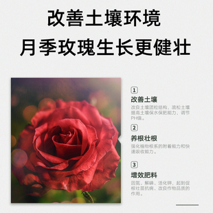 花肥料专用型玫瑰蔷薇家用盆栽通用缓释肥有机肥颗粒复合肥 月季