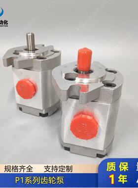 P1系列定量齿轮泵P101P102P127P135P104P105P106P107P109