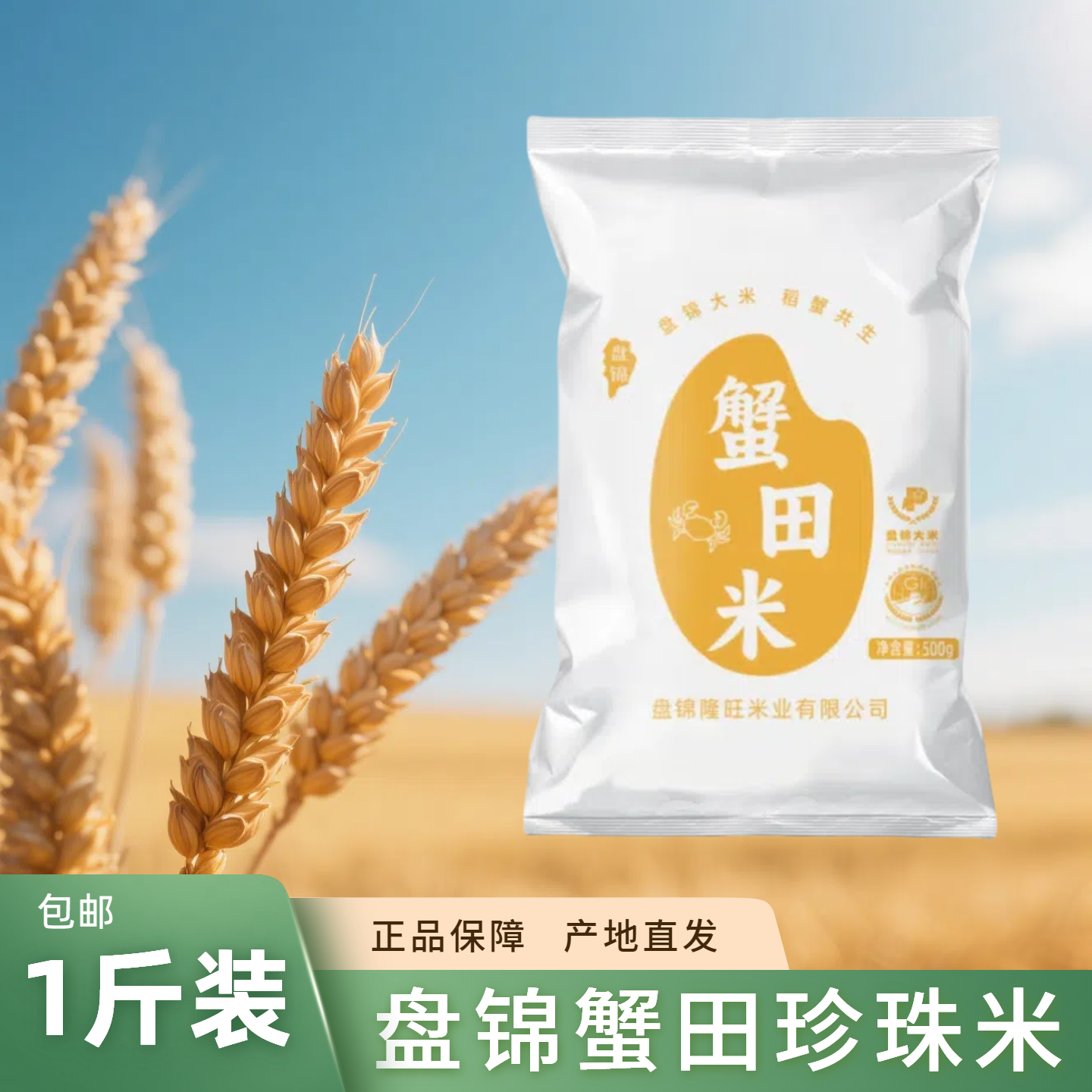 盘泽园盘锦蟹田米500g大米1斤装圆粒珍珠米当季新米东北大米