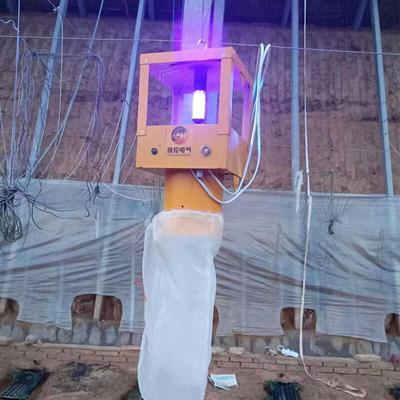 户外诱虫灯养殖鱼塘引虫吸虫灯飞蛾诱捕农用杀虫黑光灭虫灯泡防水