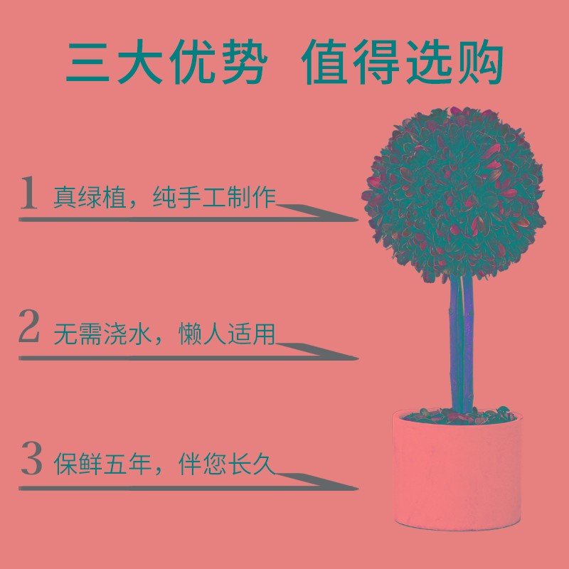 馨颜植花卉植物室内小盆栽客厅装饰盆景办公室桌面绿植宿舍小摆件