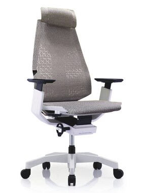 保友o基尼迪亚电竞椅护腰电脑椅办公椅体工学椅网椅