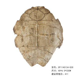 树脂仿真化石甲骨文龟壳 咖啡厅酒吧壁挂墙面软装饰教学道具