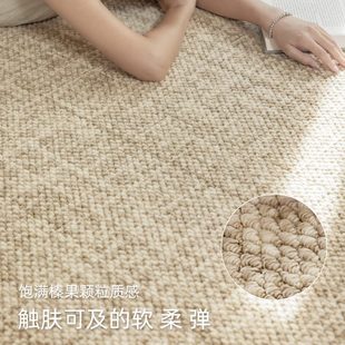轻奢高级感家用沙发茶几毯奶油风免打理地垫 羊毛地毯客厅2024新款