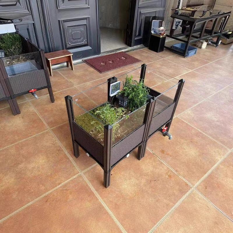 黄缘闭壳龟家庭饲养生态环境套餐 黄缘龟养殖箱 新手黄缘龟套餐