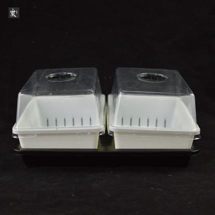 YMO7育苗篮子 26cm多肉生石花肉锥绿植花卉小型保温箱种植篮子