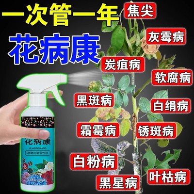 花病康植物花卉通用型花病康免稀释直喷型家庭园艺盆栽抗菌活性剂