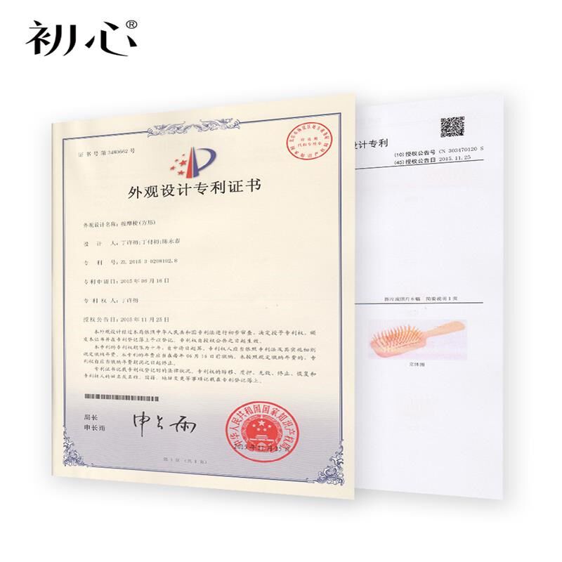 初心气囊气垫按摩梳卷发梳女士蓬松梳头部头皮木梳梳子礼物大号梳