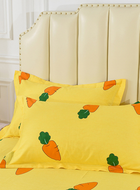 全棉枕套单件卡通儿童3050宿舍成单人4874cm纯棉枕头套一对装