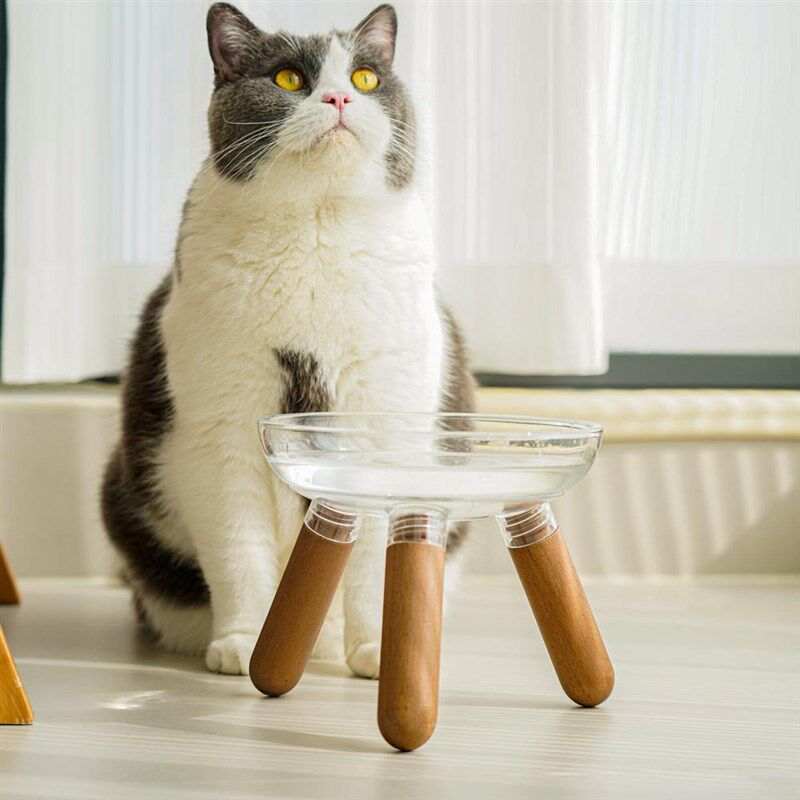 三角支撑碗架实木加高玻璃猫碗增高支架大碗口透明颜值狗碗宠物碗