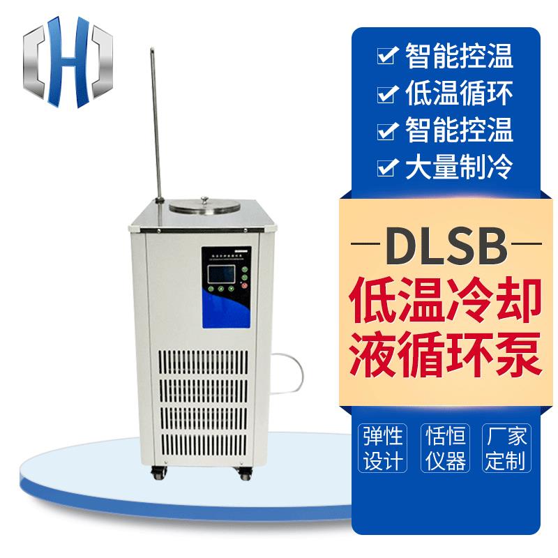 DLSB低温冷却液循环泵冷水机5/10/20L实验室低温冷却循环泵