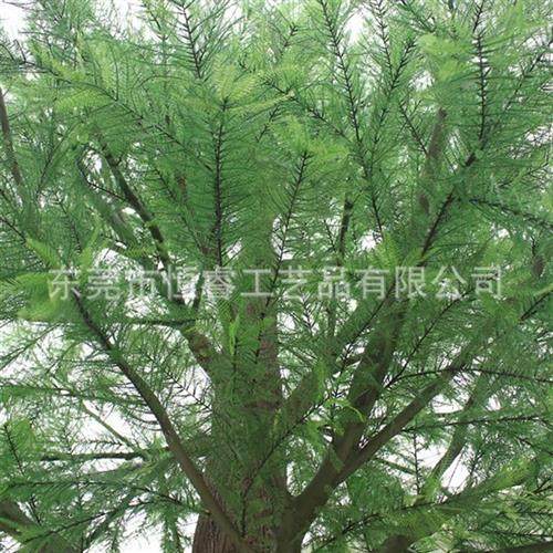 生态园林绿树仿真杉树假树玻璃钢人造杉树东莞厂家定做工程绿化树
