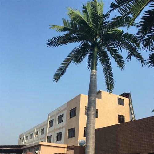 棕榈树仿真椰子树室外造型植物观景摆设假树装饰树厂家供应