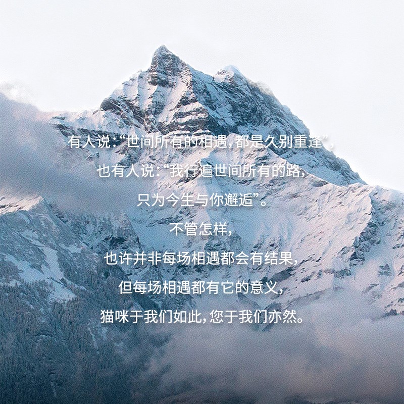 山下有猫全价主食冻干猫用生骨肉高蛋白优质低敏营养易消化200g