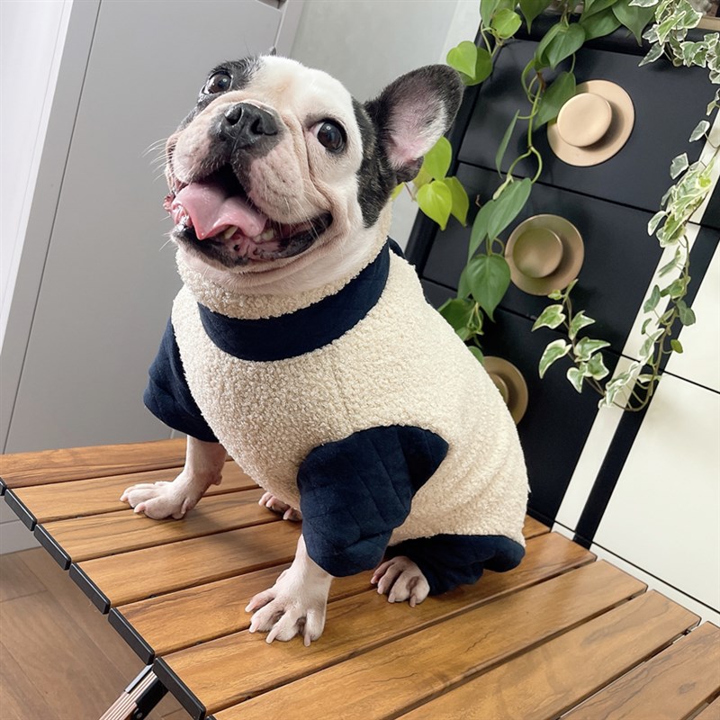 安班法斗巴哥博美短腿胖公母狗狗专用冬装加厚包肚子保暖四脚棉衣