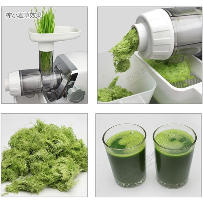 Sunmile/善美 电动原汁机家用自动低速榨汁器蔬菜水果小麦草芹菜