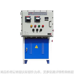 BT5 防爆等级BT4 CT4 电加热蒸汽发生器 防爆电蒸汽发生器