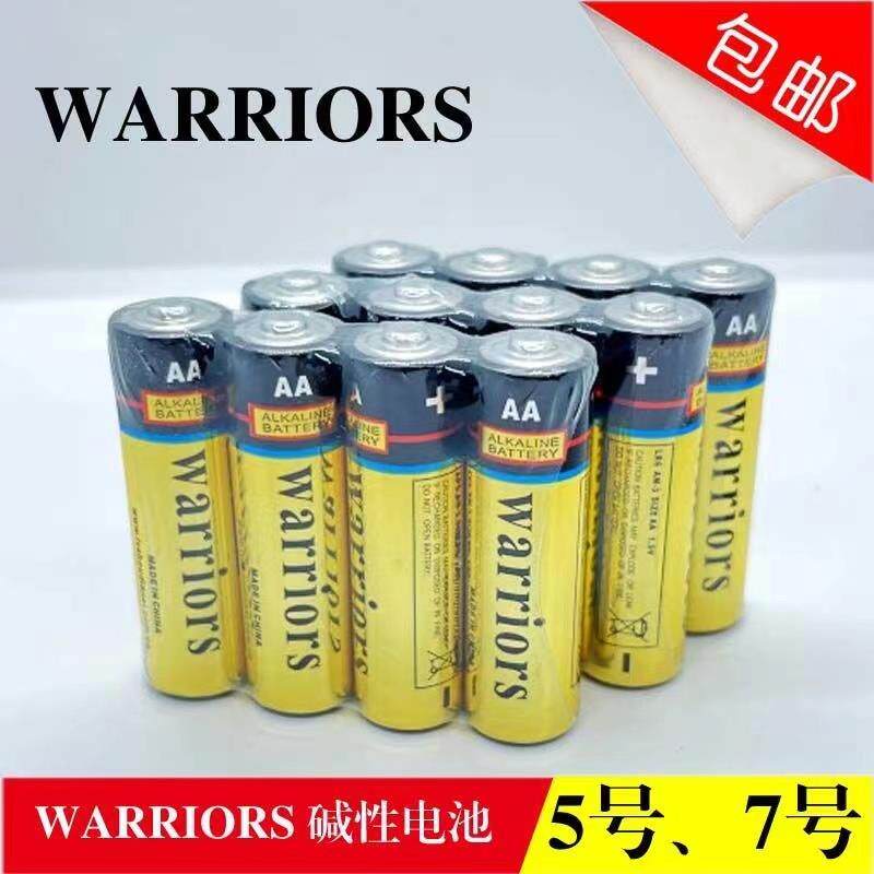 智能锁5号电池指纹锁电池门锁专用电池密码锁碱性1.5V电子锁通用