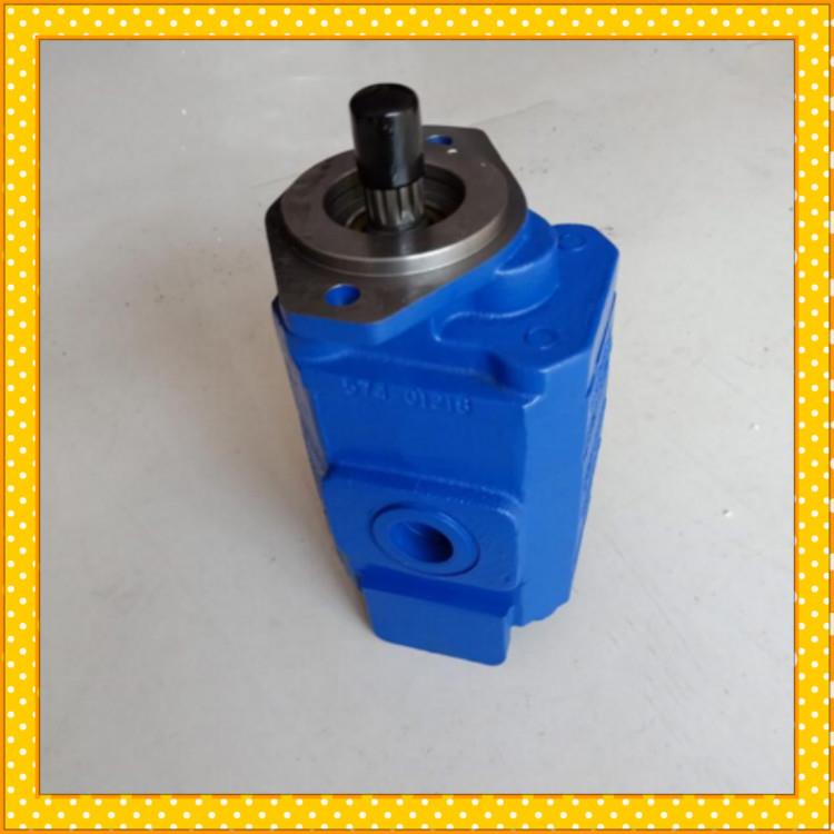 P124B082OYZA10-54GWZA02-1双联齿轮泵煤机泵1121002283