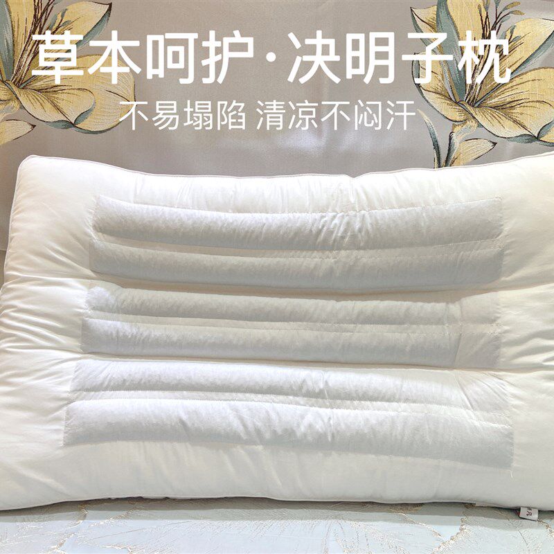 点凡酒店民宿决明子填充枕头荞麦枕护颈立体单枕低枕
