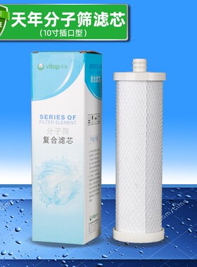 天年净水过二级活性炭插口分子筛网状碳棒烧结去异味