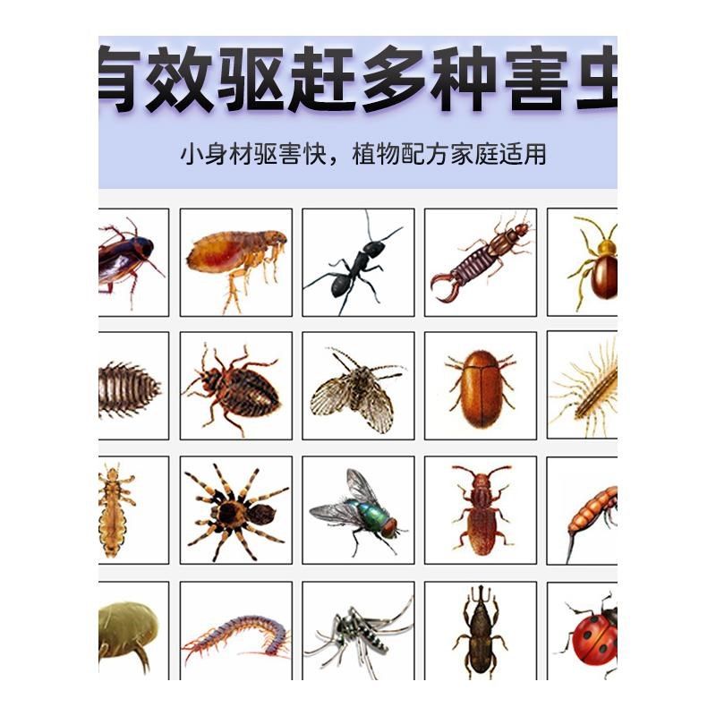 香樟脑丸防虫去味驱虫室内防潮防蟑螂樟脑球香薰包