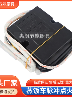 商用蒸包炉锅蒸锅柜箱对点火脉冲点火器蒸饭车打火器关本威