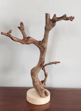原木树杈带底托 托摆件 书架客厅茶几摆设 手工天然把玩首饰实木