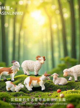 仿真绵羊山羊萌粒园林农场造景微景观装饰品盆景配件桌面小摆件